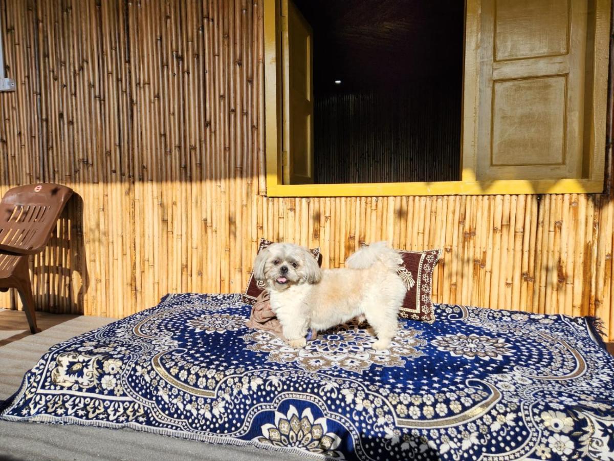 Pahaadi Dhun Homestay Chamba  Eksteriør bilde