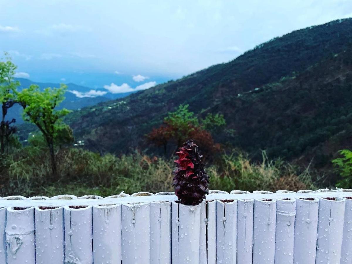 Pahaadi Dhun Homestay Chamba  Eksteriør bilde